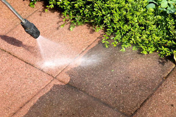 Local Pressure Washing Services in Bel Air, MD